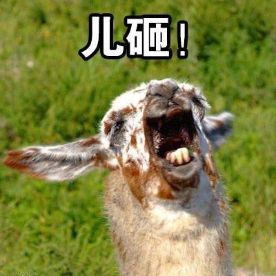 儿砸微信表情包