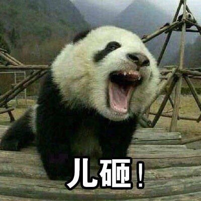 儿砸微信表情包