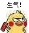 微信可爱鹦鹉斗图表情包