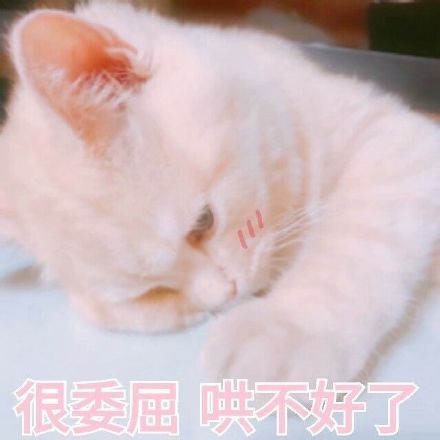猛男专用的微信粉色系表情包