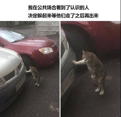 社交恐惧症日常系列微信表情包