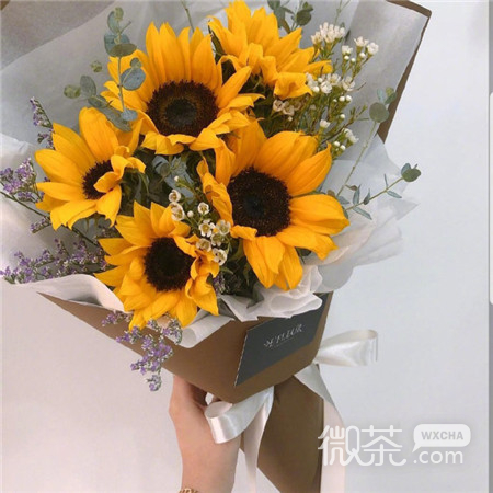 唯美意境的微信五月花束图片
