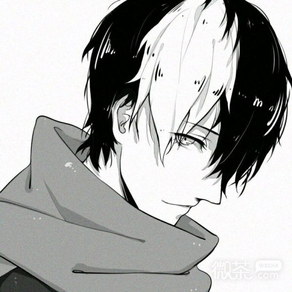 微信最潮洒脱抖音二次元男生头像