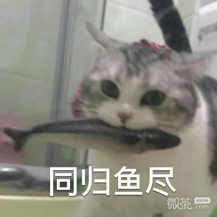 今日份的微信沙雕专属带字表情包