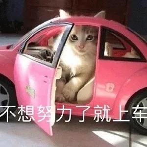 沙雕人士专用的微信搞笑斗图表情包