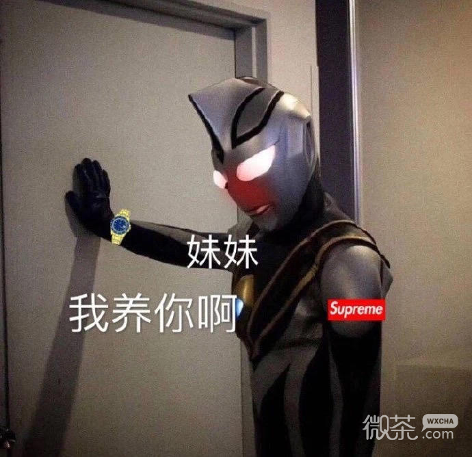 沙雕搞笑的微信斗图专用表情包