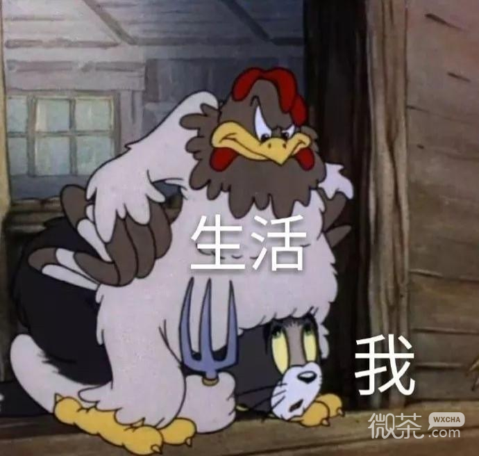 沙雕搞笑的微信斗图专用表情包
