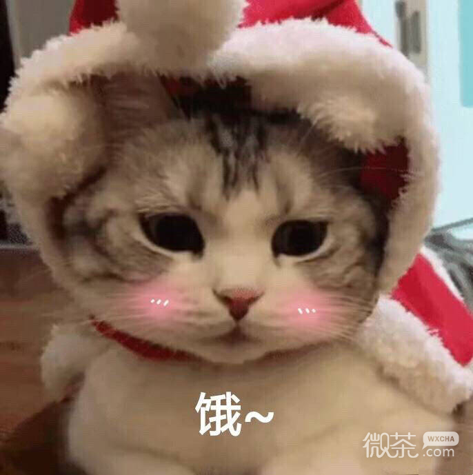 今日份的微信沙雕专属带字表情包