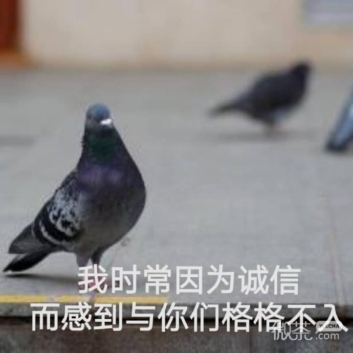 今日份的微信沙雕专属带字表情包