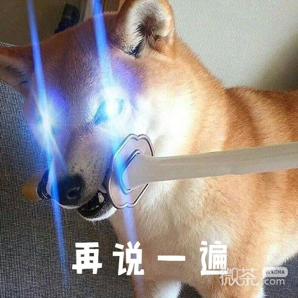 沙雕搞笑的微信斗图专用表情包