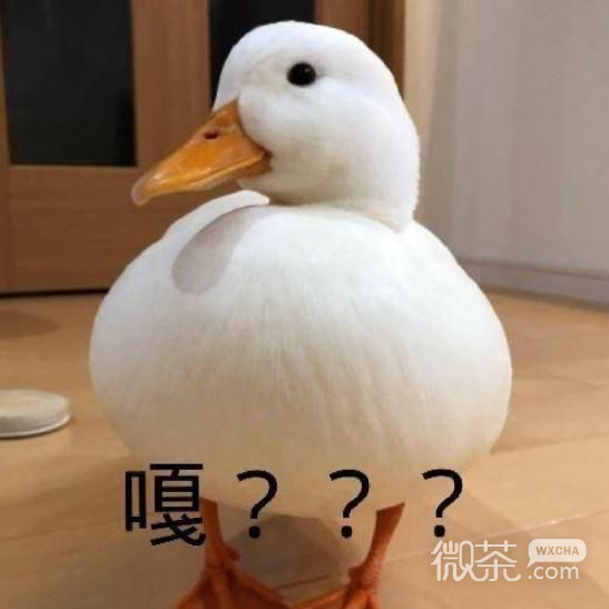 沙雕人士专用的微信搞笑斗图表情包