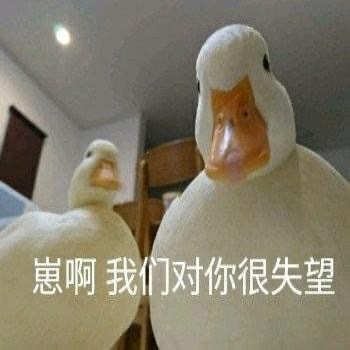 沙雕搞笑的微信斗图专用表情包