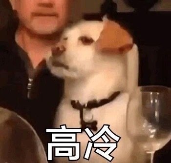 今日份的微信沙雕专属带字表情包