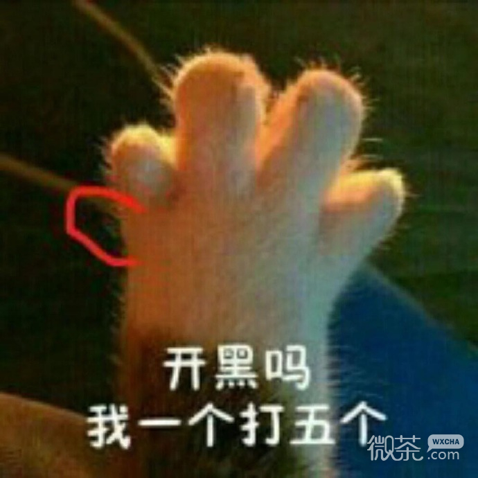 搞笑又沙雕的带字斗图表情包合集
