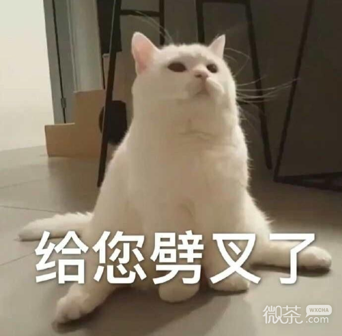 可爱搞怪的微信最新斗图表情包