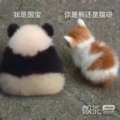 搞笑又沙雕的带字斗图表情包合集
