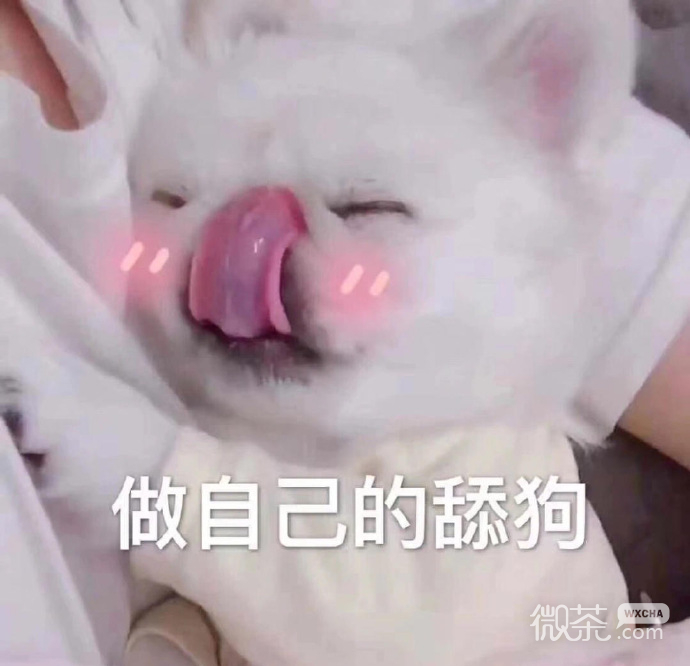 搞笑又沙雕的带字斗图表情包合集