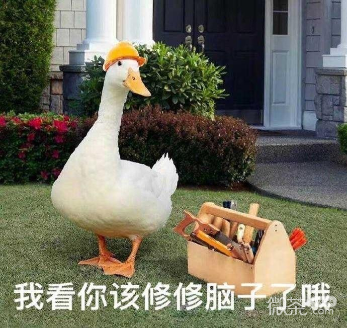 可爱搞怪的微信最新斗图表情包