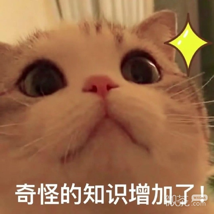 搞笑又沙雕的带字斗图表情包合集