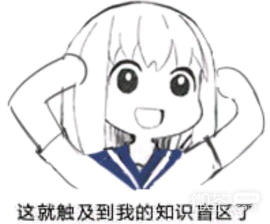 有趣微信可爱二次元聊天表情包