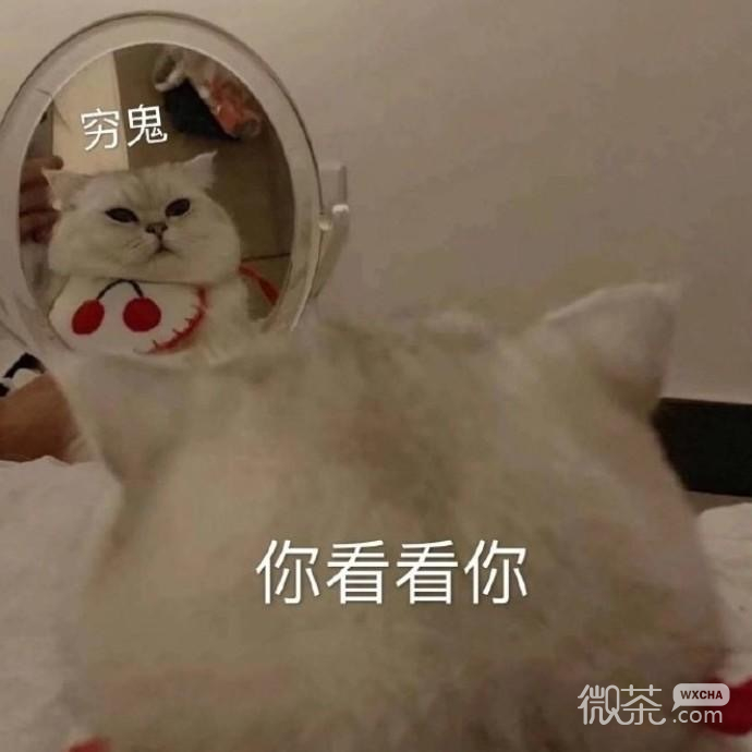 搞笑又沙雕的带字斗图表情包合集