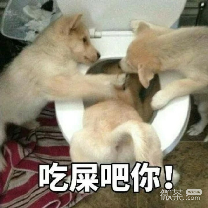 可爱搞怪的微信最新斗图表情包