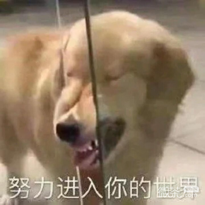 可爱搞怪的微信最新斗图表情包