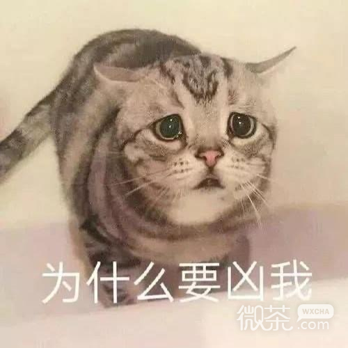 搞笑又沙雕的带字斗图表情包合集