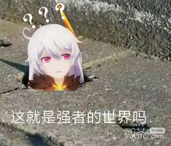 我操微信逗比聊天表情包