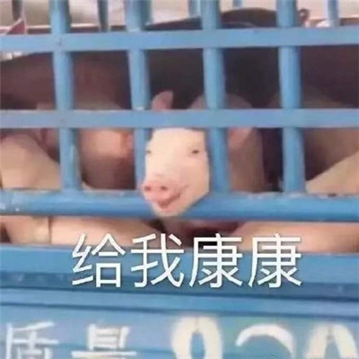 吃瓜专用的微信恶搞表情包