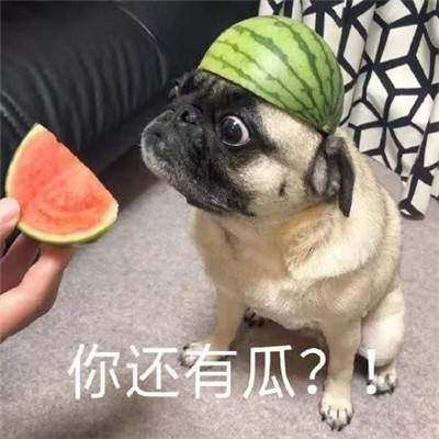 吃瓜专用的微信恶搞表情包