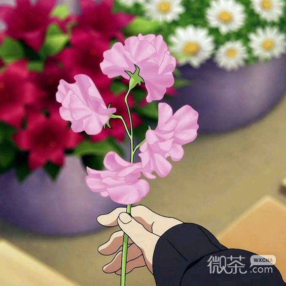 暗中观察微信恶搞二次元表情包