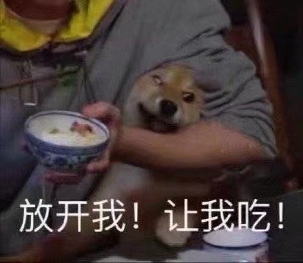 可爱带字的微信最新聊天带字表情包