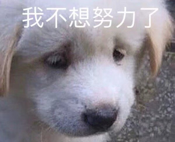 可爱带字的微信最新聊天带字表情包