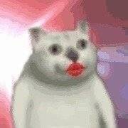 微信近期斗图恶搞表情包2020/5/4(二)