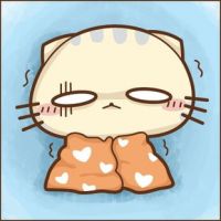 可爱超萌的CC猫微信头像合集