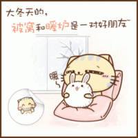 可爱超萌的CC猫微信头像合集