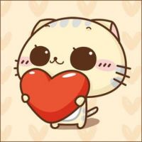 可爱超萌的CC猫微信头像合集