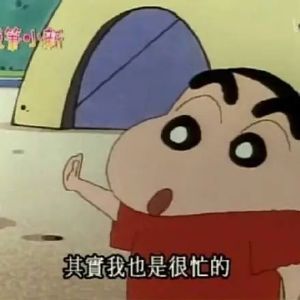 搞怪带字的微信蜡笔小新表情包集