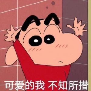 搞怪带字的微信蜡笔小新表情包集