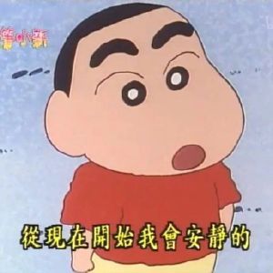 搞怪带字的微信蜡笔小新表情包集