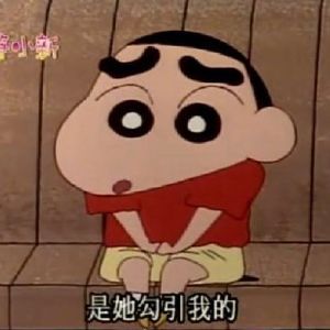 搞怪带字的微信蜡笔小新表情包集