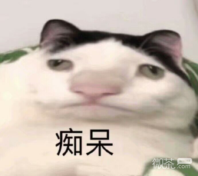 微信近期斗图恶搞表情包2020/5/6（二）
