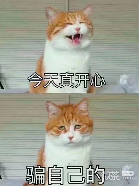 头大微信恶搞聊天表情包