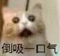 头大微信恶搞聊天表情包