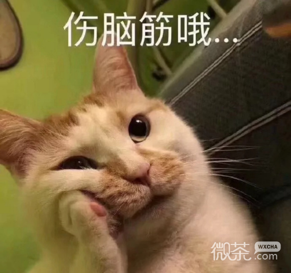 头大微信恶搞聊天表情包