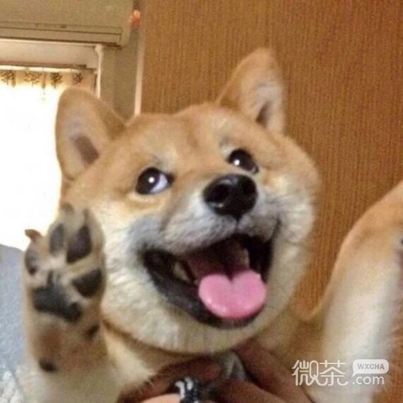 搞怪傻屌微信头像