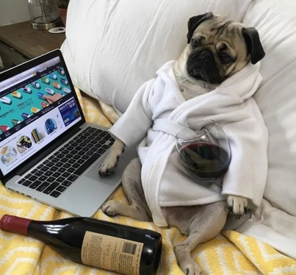 搞怪傻屌微信头像