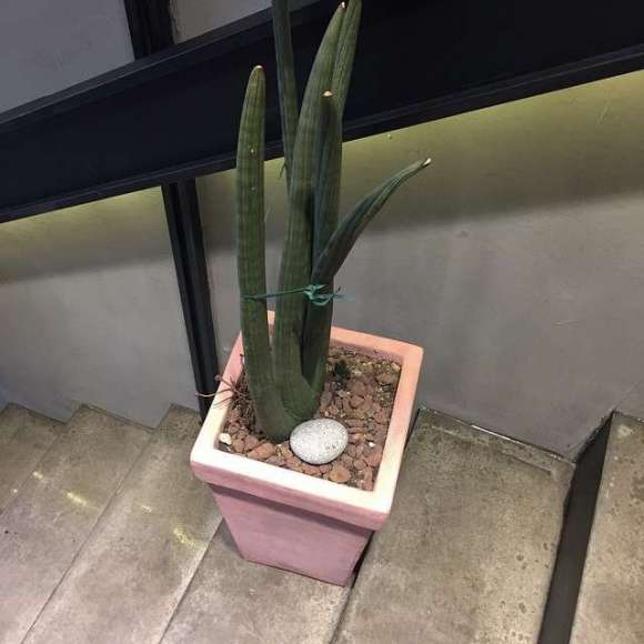 最潮云朵微信朋友圈配图