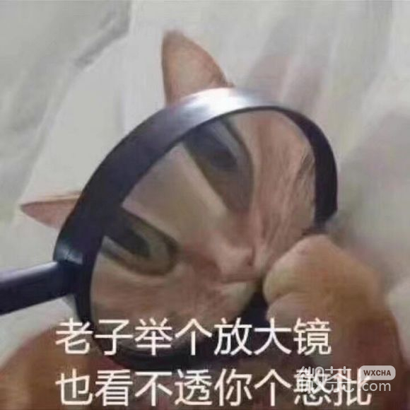 头大微信恶搞聊天表情包